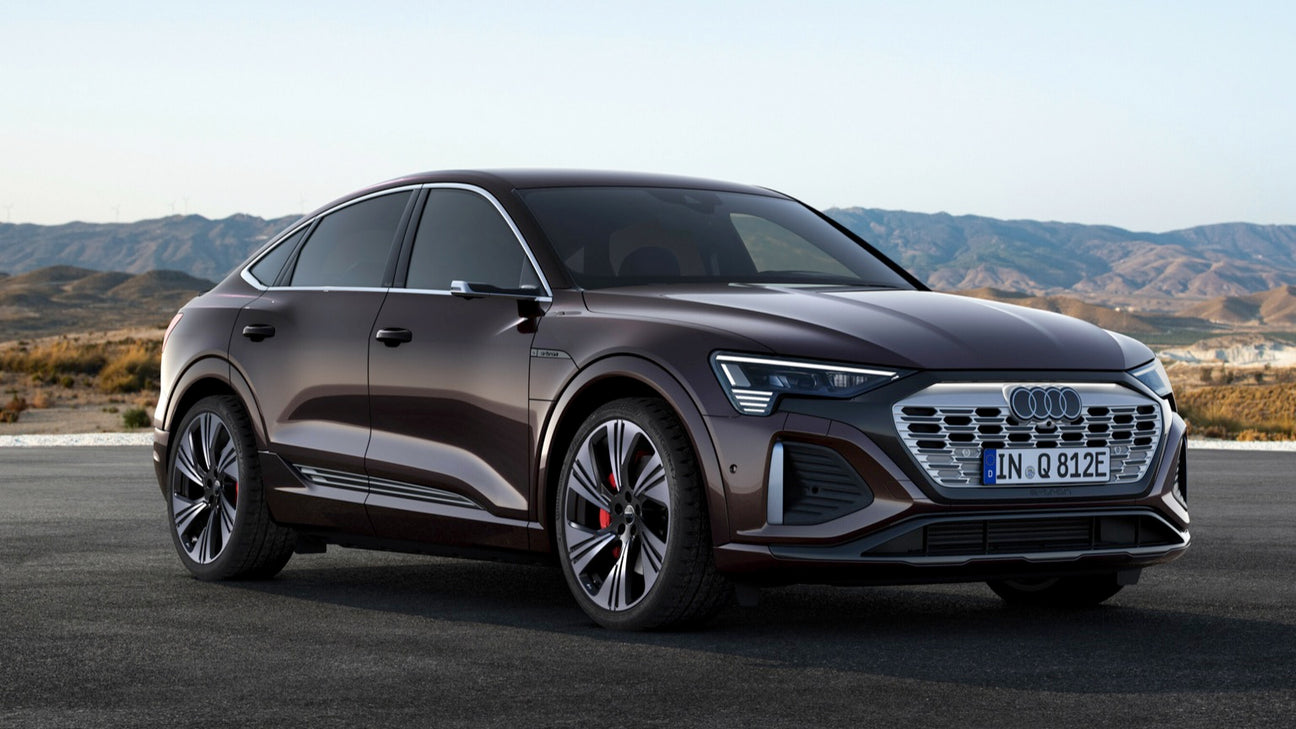 Audi Q8 - Type 2 16A 3 fase - EV Plug Europa