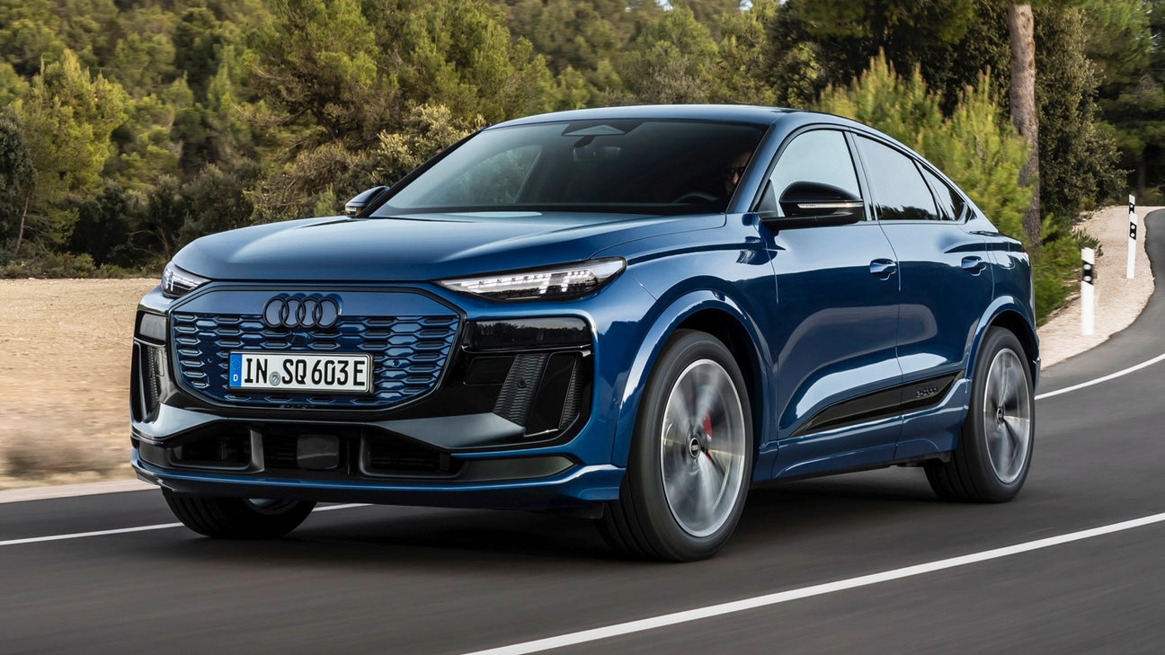 Audi SQ6 - Type 2 16A 3 fase - EV Plug Europa