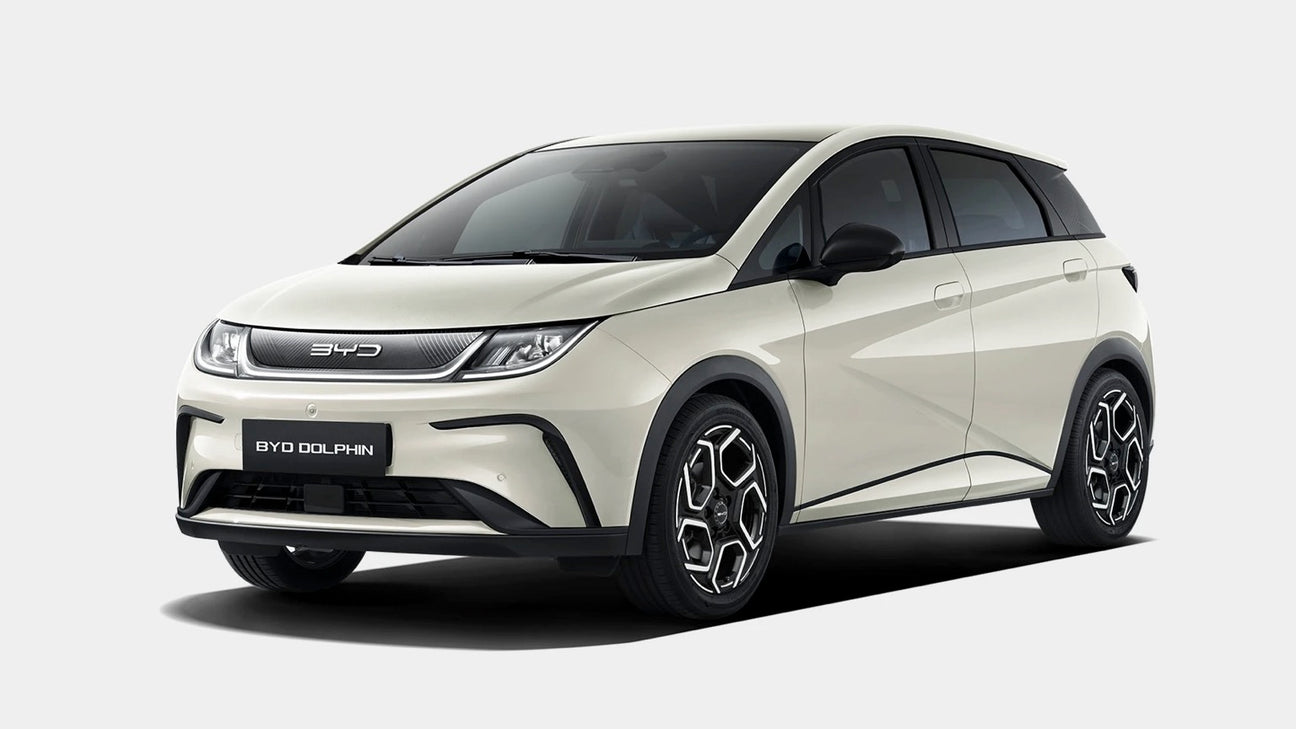 BYD DOLPHIN - Type 2 16A 3 fase - EV Plug Europa