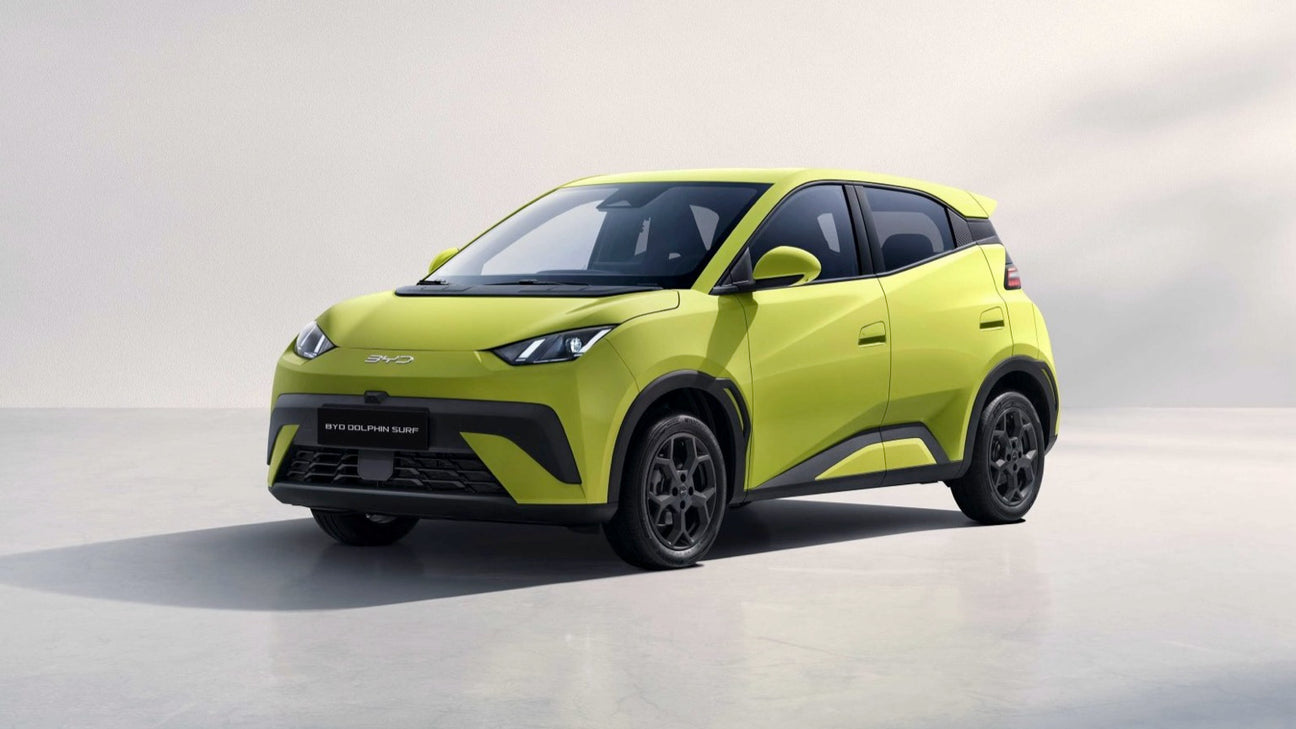 BYD DOLPHIN SURF - Type 2 16A 3 fase - EV Plug Europa