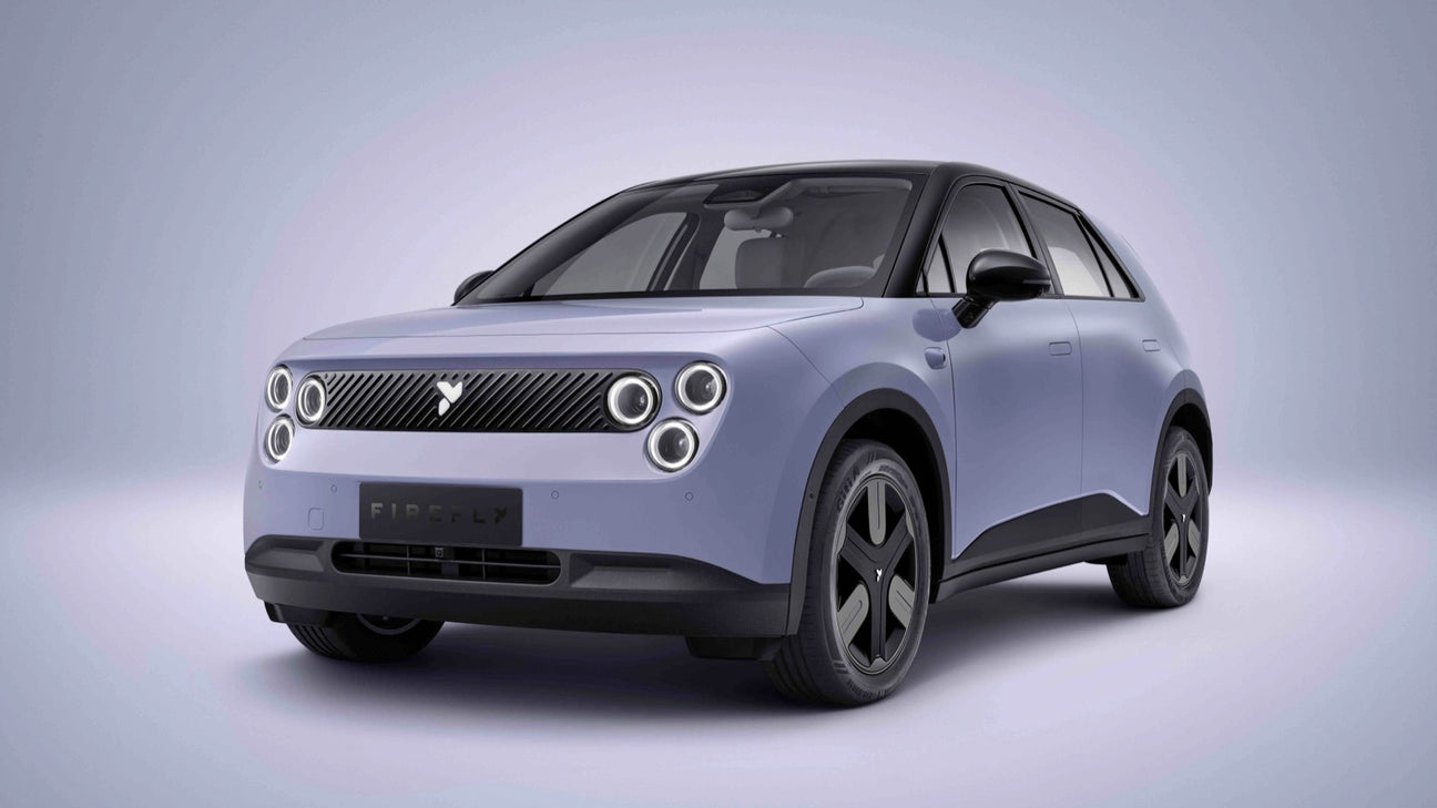 firefly firefly - Type 2 16A 3 fase - EV Plug Europa