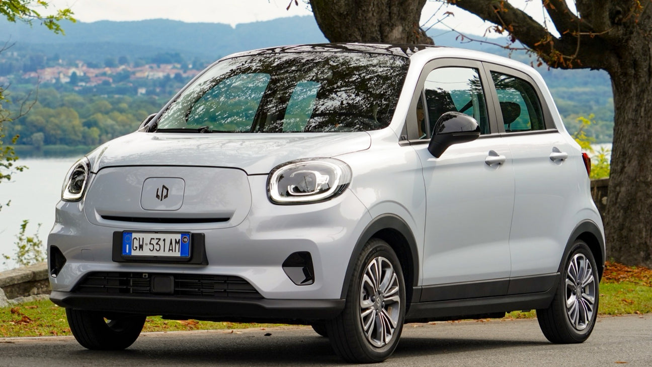 Leapmotor T03 - Type 2 29A 1 fase - EV Plug Europa