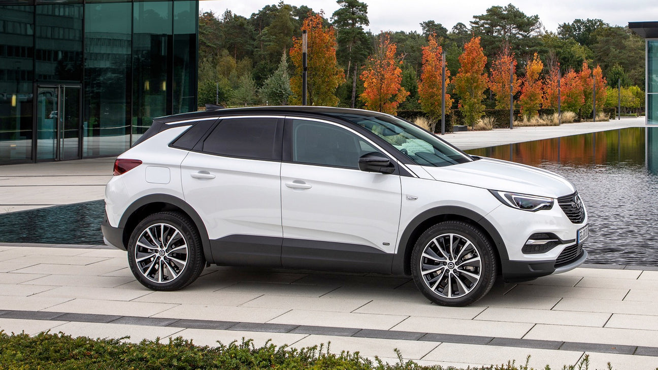 Opel Grandland X - Type 2 14A 1 fase - EV Plug Europa