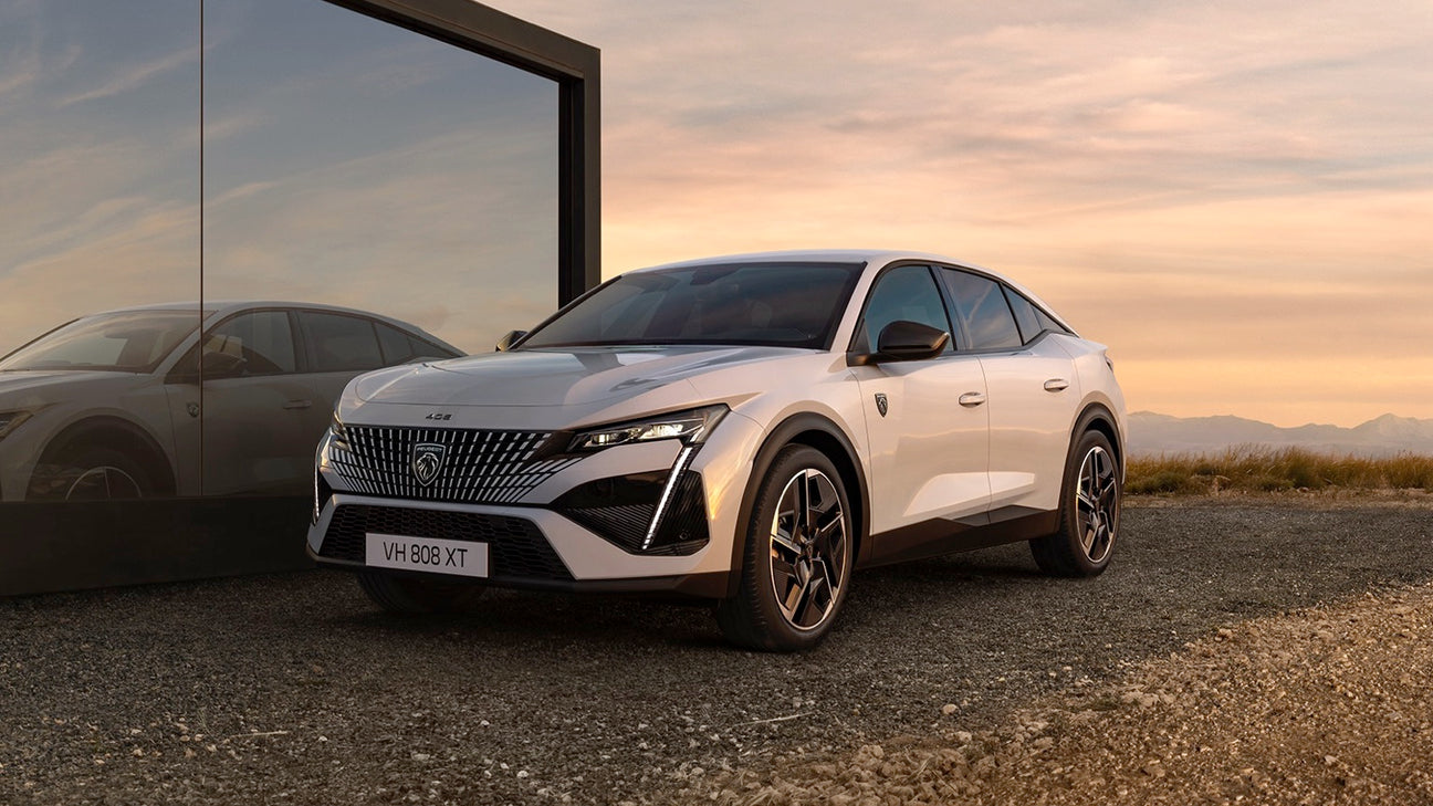 Peugeot e-408 - Type 2 16A 3 fase - EV Plug Europa