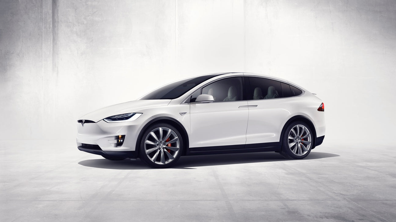 Tesla Model X - Type 2 24A 3 fase - EV Plug Europa