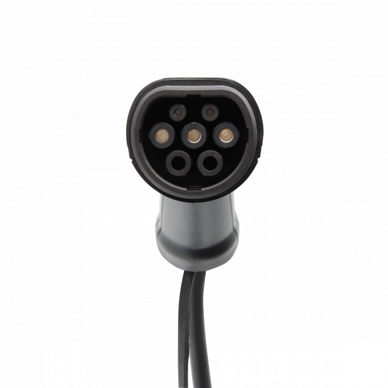 Nissan leaf plug shop type